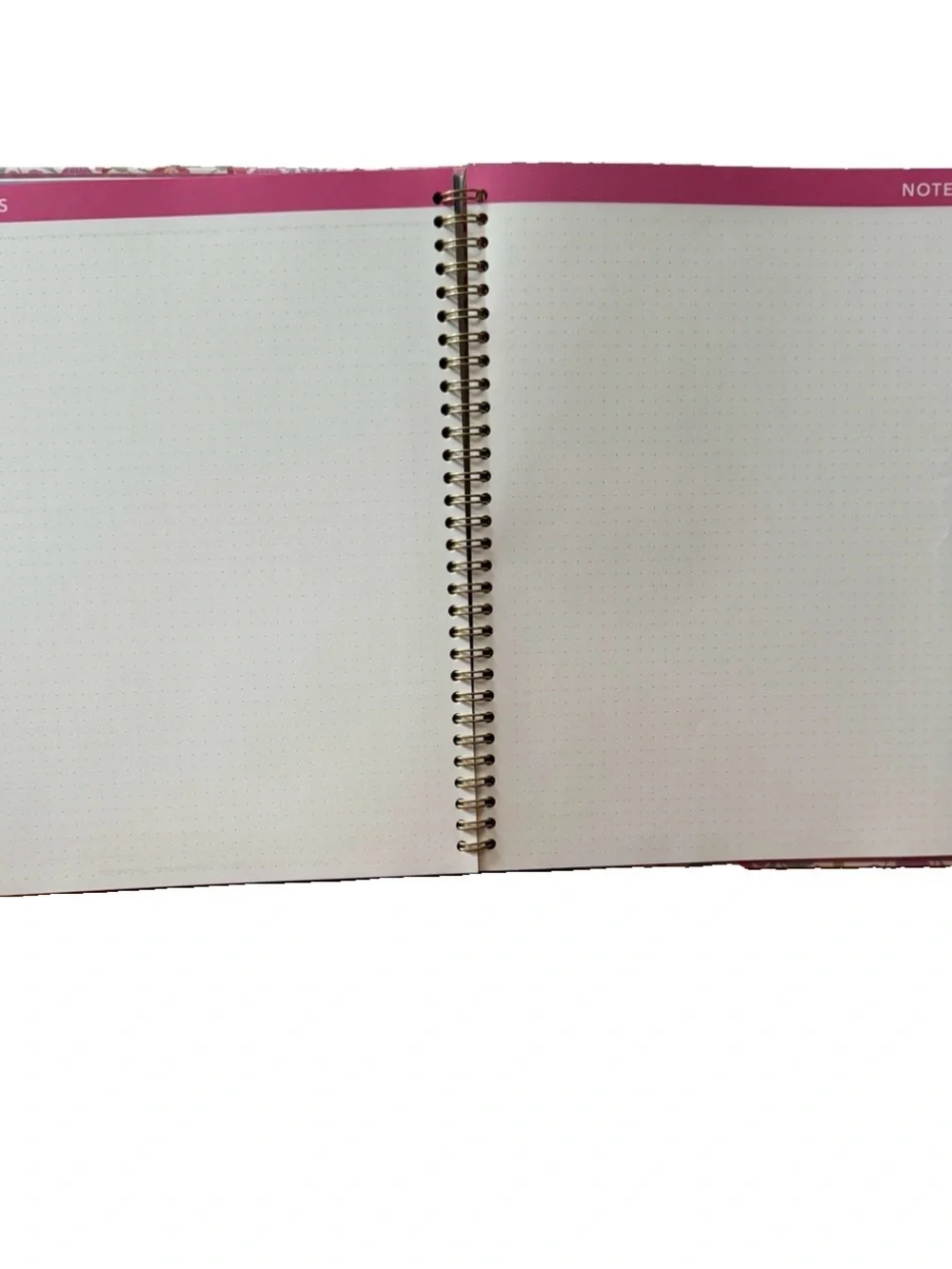 Clementine Paper inc.12 month Large Size Planner 11x9” Cat Pink Floral 2026-2027